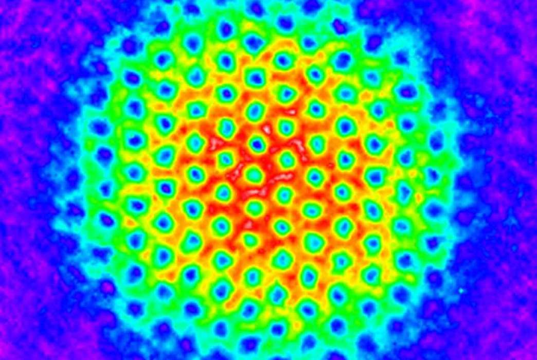 A colorized lattice of tornado-like vortices within a spinning Bose-Einstein condensate of rubidium atoms, imaged by the National Institute of Standards and Technology in 2007. (NIST)