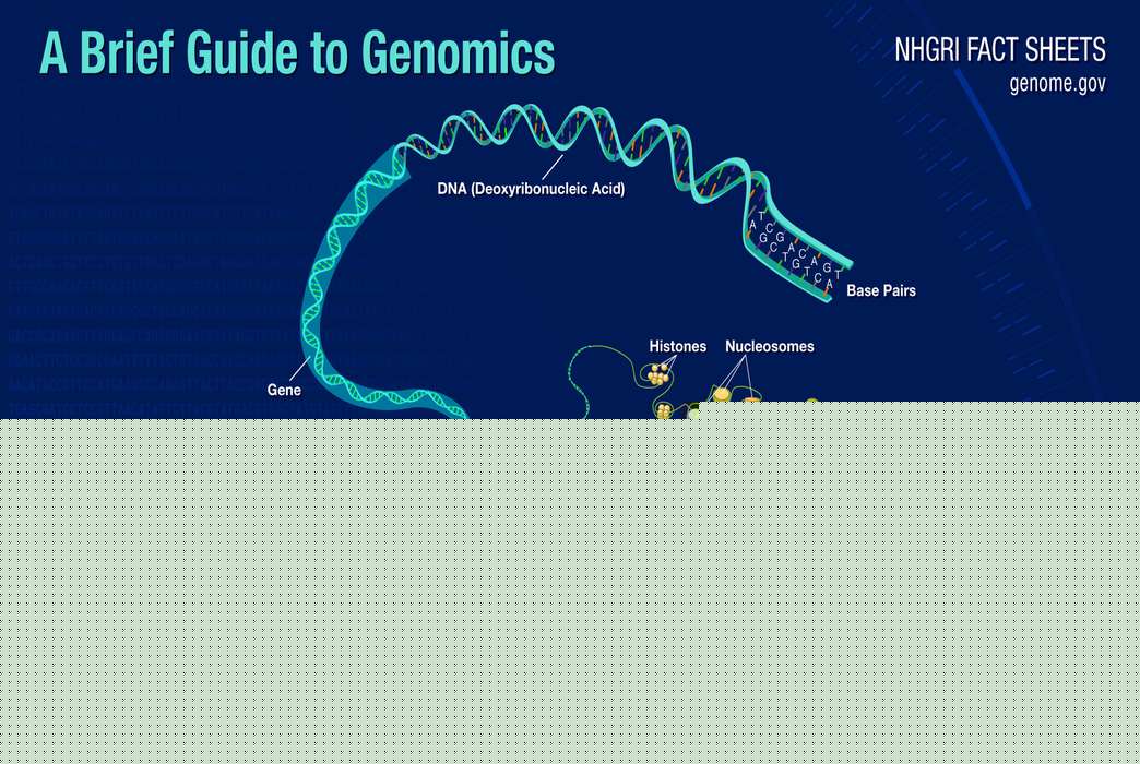 We're getting closer to having a full map of vertebrate genomes. (NIH/Genome.gov)