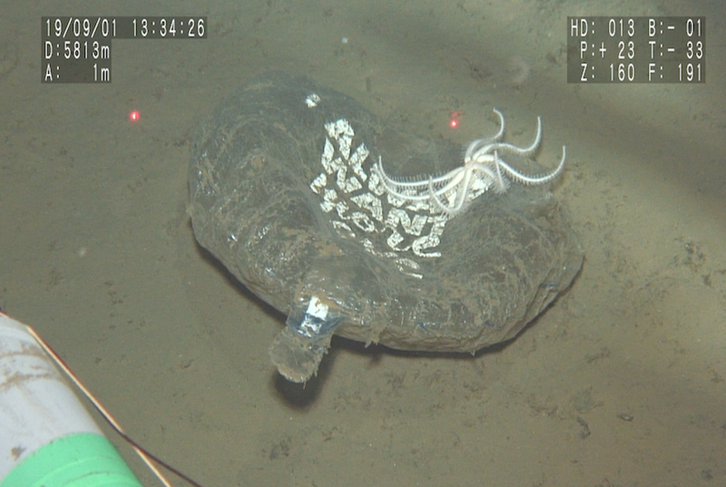 Single-use plastics of various types litter the deep ocean floor. (Jamstec)