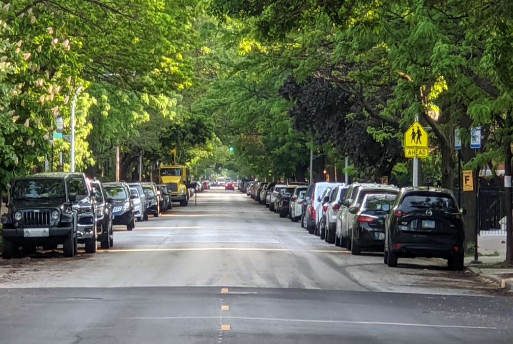 The number of trees in a neighborhood has an impact on residents' well-being. (Unsplash/Craig Vodnik)