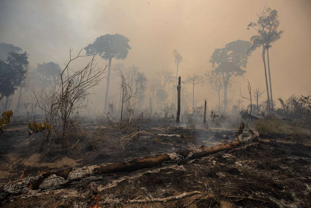 Where are we clearing land, and what are we using it for? (AP Photo/Andre Penner)