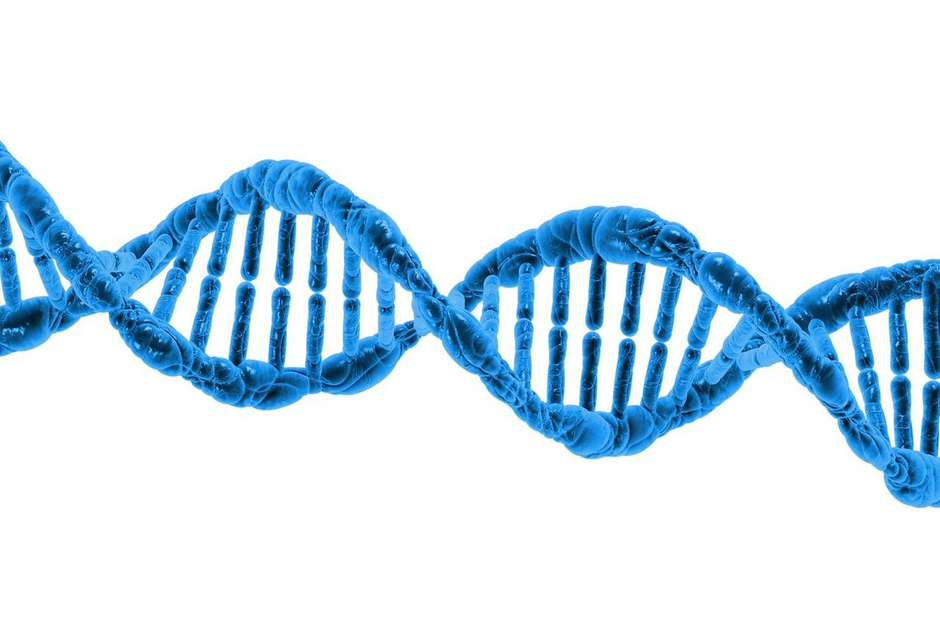 A new "stretchy" battery mimics DNA.(Pixabay/Public Domain)