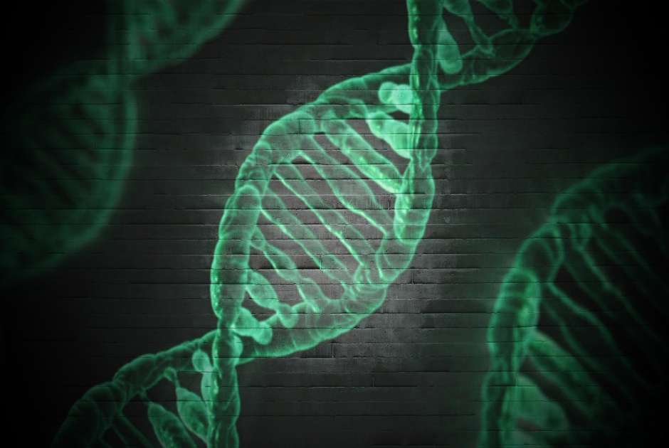 Could fish genes lead to humans regrowing limbs? (Pixabay/Darwin Laganzon)