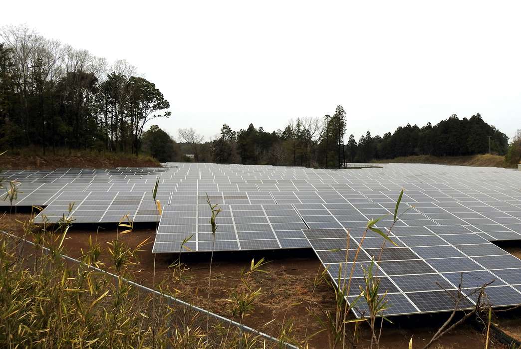 Solar power facilities disturb animal habitats, no matter their size. (Ji Yoon Kim)