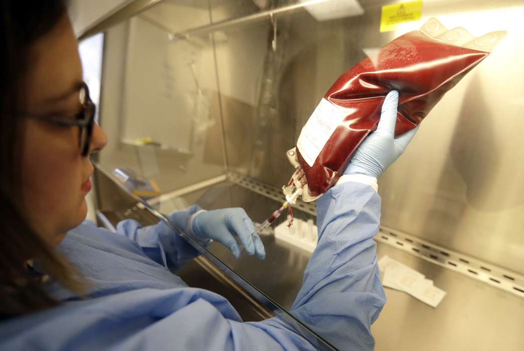 New research shows bone marrow can regenerate. (AP Photo/David J. Phillip)