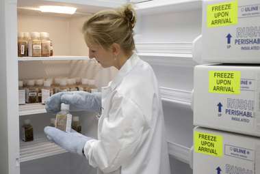 “Super-donors” who have better gut microbiomes than others can improve the use of fecal transplants to combat disease. (AP Photo/Steven Senne)