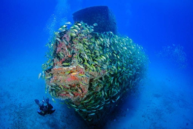 That shipwreck is providing habitat for sea creatures, but what else is it doing? (Pexels/Leonardo Lamas)