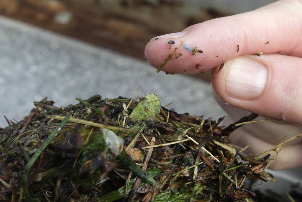 "Compostable plastic" might shed more microplastics than conventional polymers. (AP Photo/Ted S. Warren)