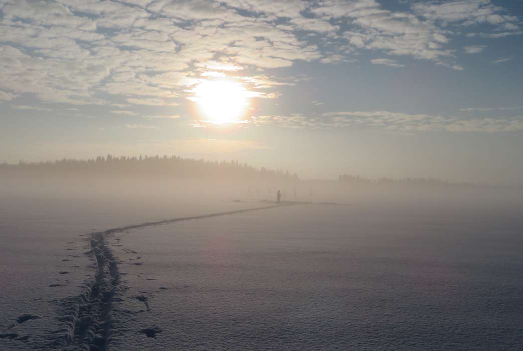 Melting sea ice drove harsh winter weather in Europe. (Hannah Bailey)